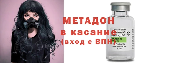 прущие грибы Алзамай